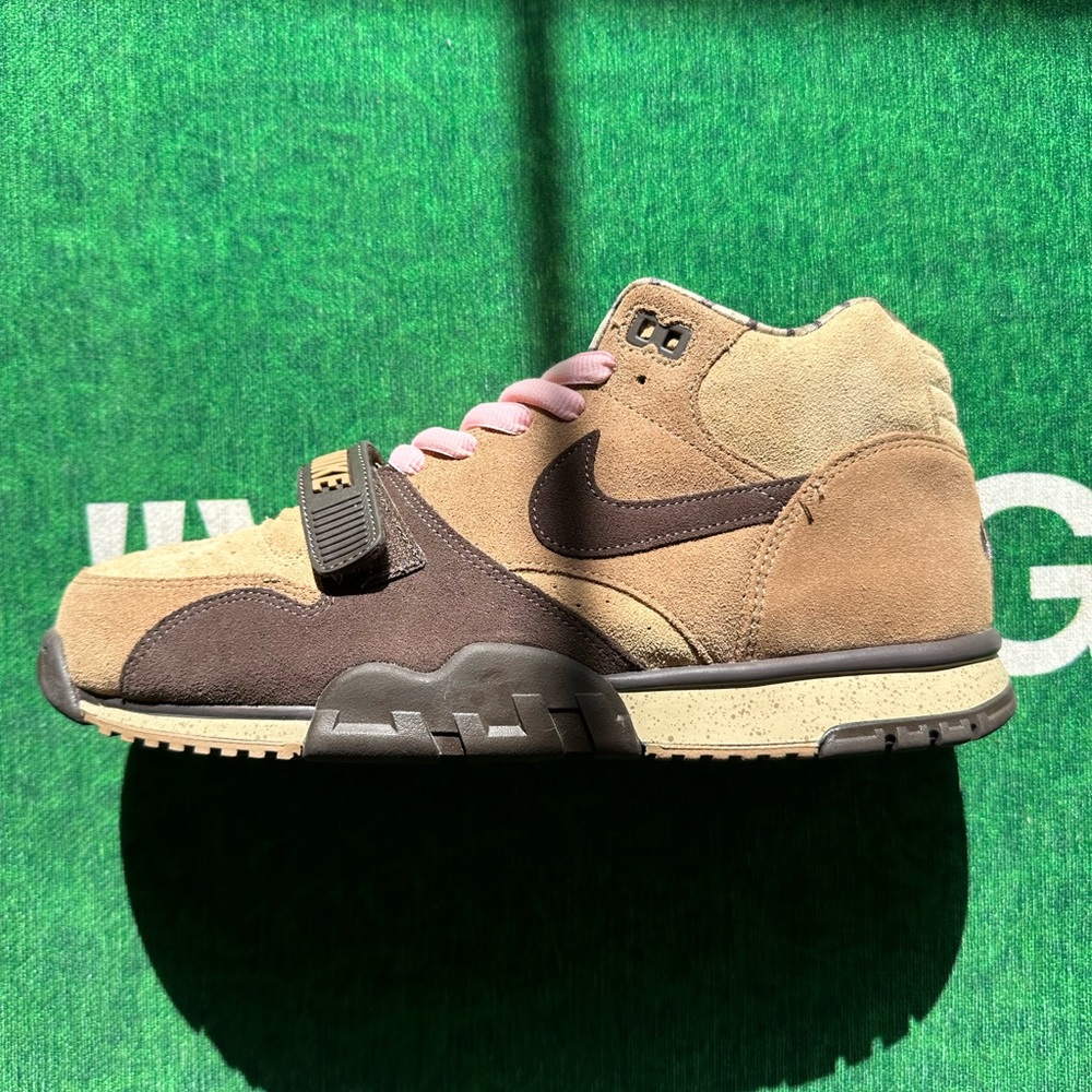 Air Trainer 1